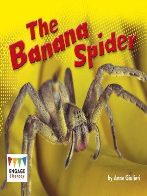 cover image of The Banana Spider